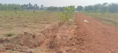 land grabbing in padmanabham