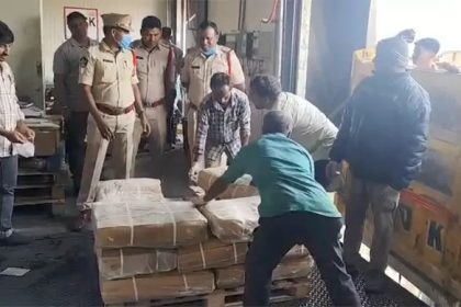 cow meat illegal export